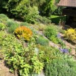 garten2jpeg