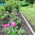 garten4jpeg